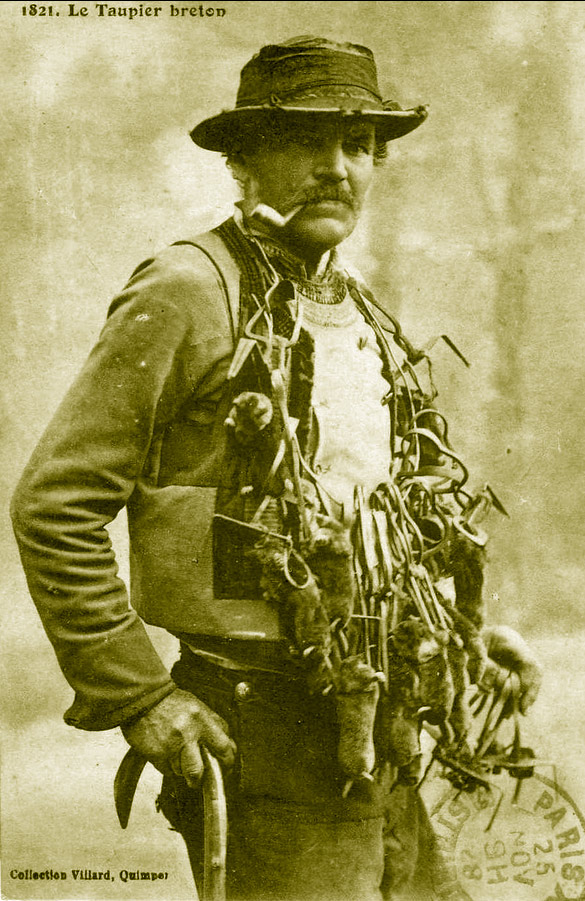 taupier breton (1821)